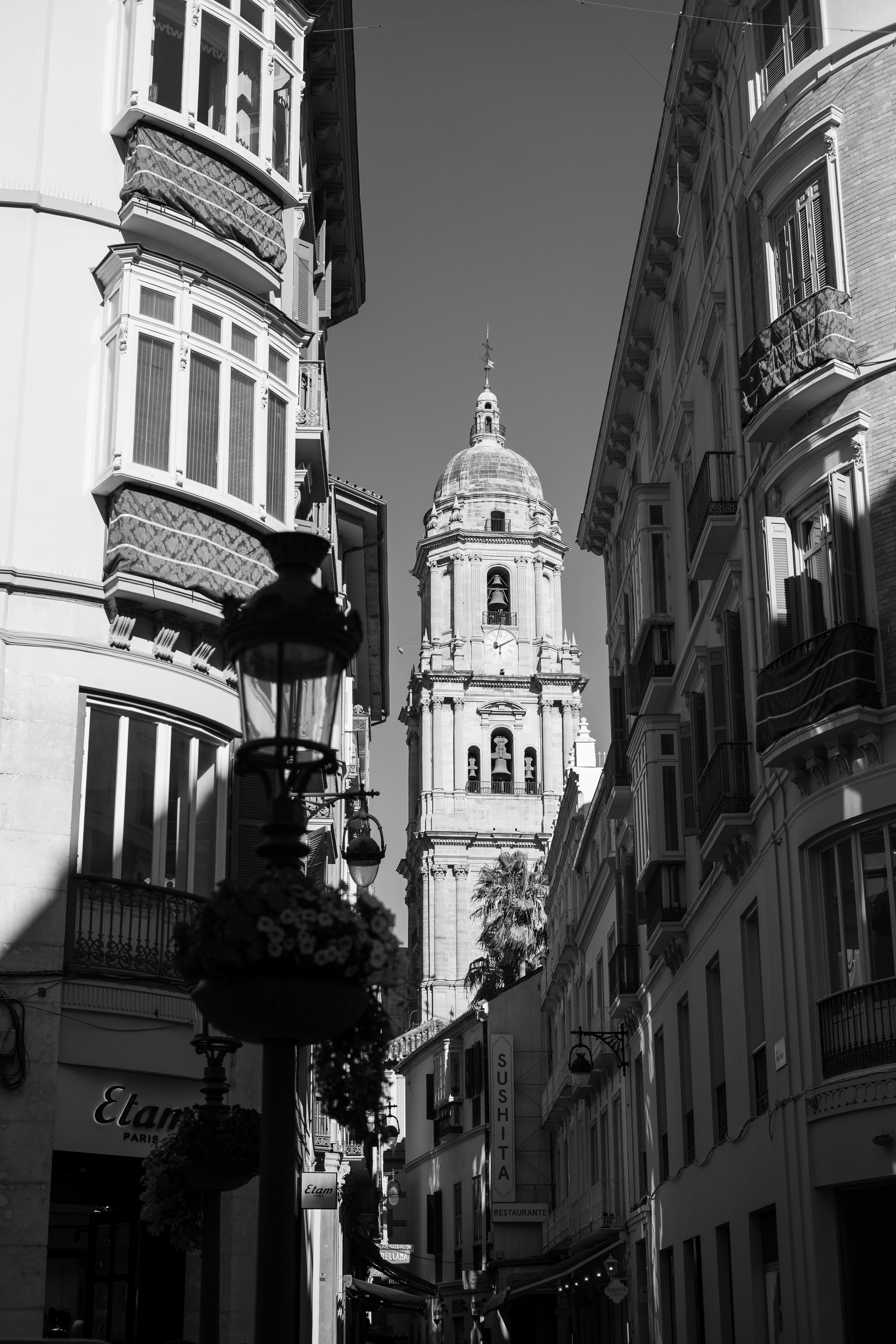 DSC03086